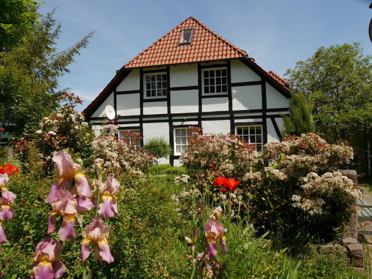 Ferienwohnung Weserblick Polle Εξωτερικό φωτογραφία